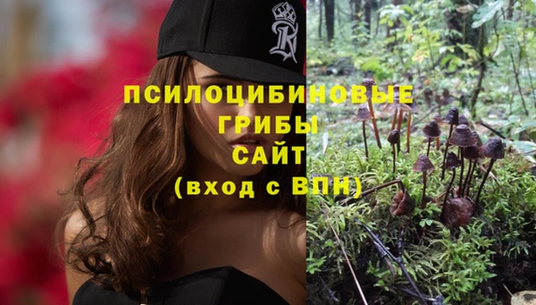 твердый Аркадак