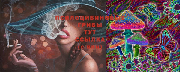 твердый Аркадак
