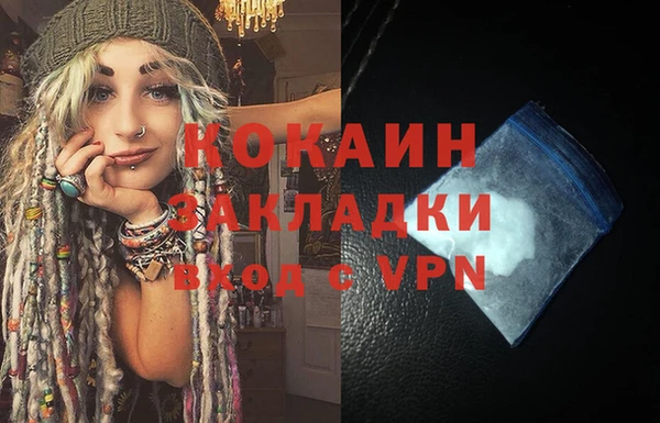 твердый Аркадак