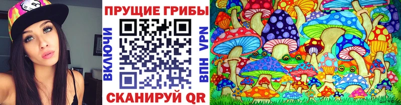 Галлюциногенные грибы Psilocybine cubensis  Усть-Лабинск 